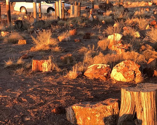 Baymont by Wyndham at Holbrook Arizona