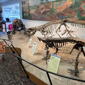 Baymont by Wyndham at Holbrook Arizona