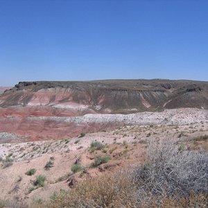 Baymont by Wyndham at Holbrook Arizona